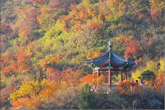 那些年中学语文课本里带我们去过的地方,你还