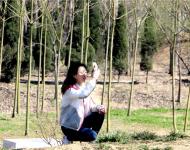 大风过后天晴朗 踏青游玩赏春光