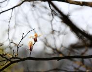 置身于望春谷，能让你感受到一个最脱俗的春天！