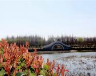 昨日我市出现5级左右的西北风，阵风在7级左右。（记者 武帅 乔健豪）