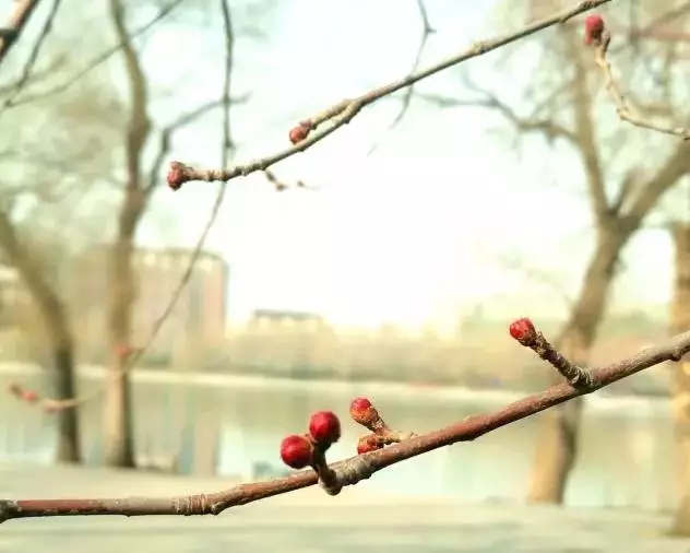 简直不敢相信，这会是二十天以后的驻马店！