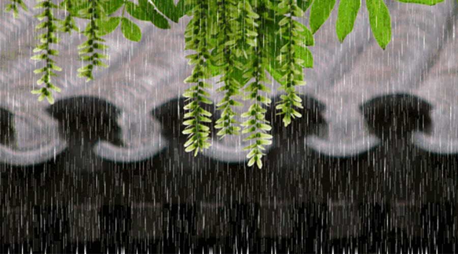 断崖式降温+中雨来袭，驻马店将连下3天！这周末可能要泡汤！