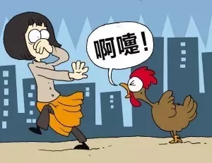 河南新增4例H7N9流感病例，这些事千万不要再做了！