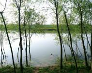 当时新河北岸的老刘寨和伍湾村属于三桥公社刘寨大队管辖，80年代中期河北岸的两个村庄成立伍湾村委，老刘寨归伍湾村委。