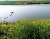 老刘寨位于汝河北岸，隶属于汝南县三桥镇伍湾村，就像汝南县遗落在平舆县境内的一颗明珠，四面环水，风景如画。