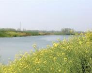 盛产白芝麻、油菜、花生、大豆等农物。 