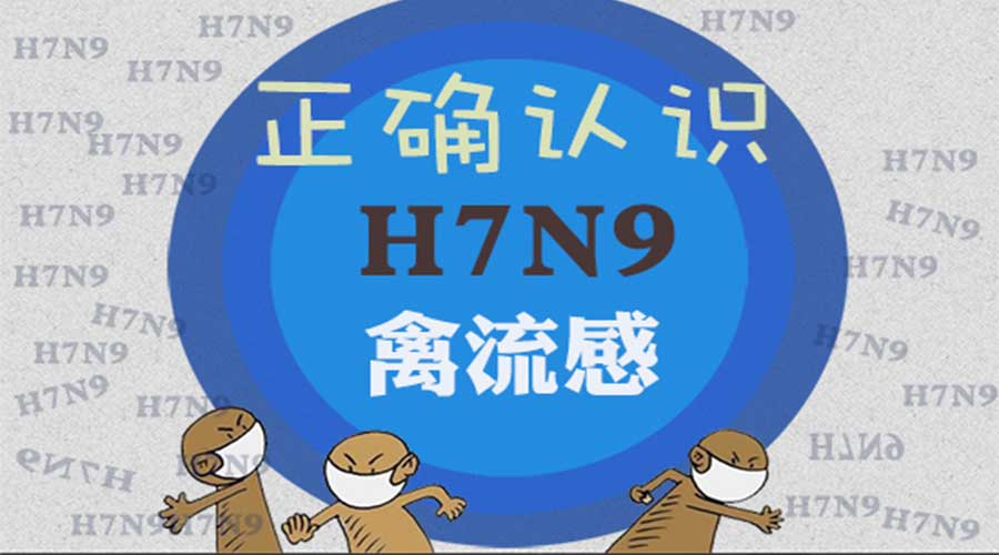 驻马店确诊1例H7N9流感病例，这些事千万不要再做了！