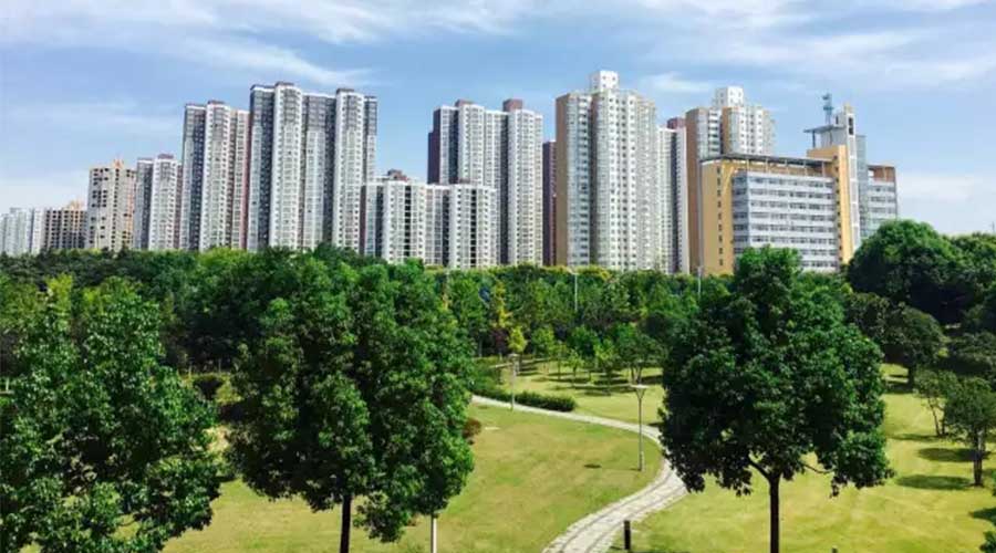 今天，驻马店街头令人震撼的一幕幕…朋友圈都传疯了！