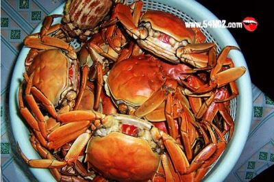 河蟹怎么保存_河蟹死了能吃吗?--驻马店新闻-