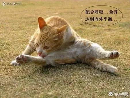 小心!女子跟着电视做瑜伽,一个动作成了高位截