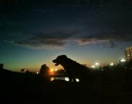 大鱼祥云（摄影/王向阳）