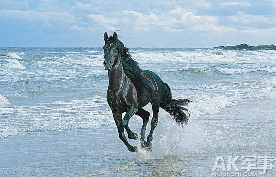 汗血宝马起源于什么时期?后来为什么在中国消