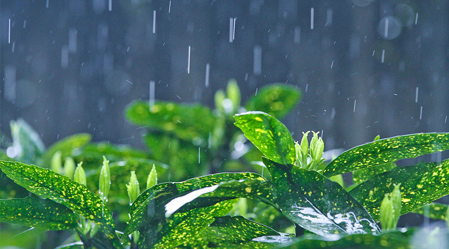 热了十几天，驻马店终于要降温了！附市区6个免费避暑圣地