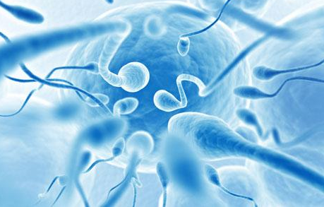 调查称:男性精子数量下降50%人类将会灭绝?
