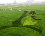 牛郎织女鹊桥相会