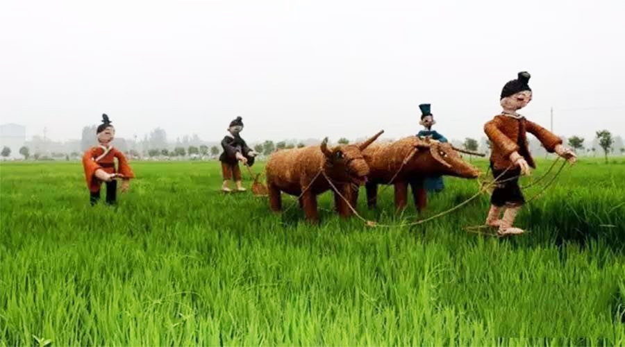 赏稻田画还用出国去日本？驻马店这里就藏了个相媲美的小村庄！