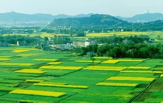 重磅！最新公示！驻马店4个单位、3个村镇榜上有名，你最支持谁？