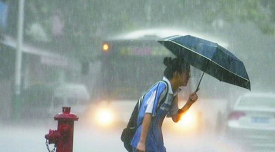 3天中雨+最低11℃！还有这事别再干了！驻马店已有两个县被罚220万！