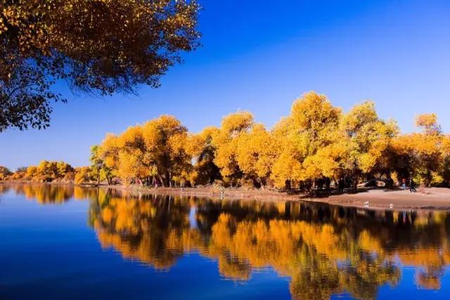 惊呆了！驻马店一大波人取消国庆出游计划，一组图道出真相！