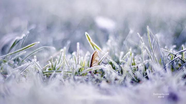 低温8℃！驻马店将进入更冷的时节！还有这些一定要注意...