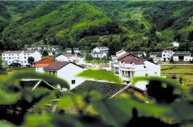 驻马店农村有土地的恭喜你了！北京传来好消息！