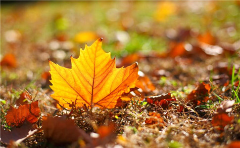 5℃~6℃~7℃！驻马店将开启又冷又晴模式，还有这些...