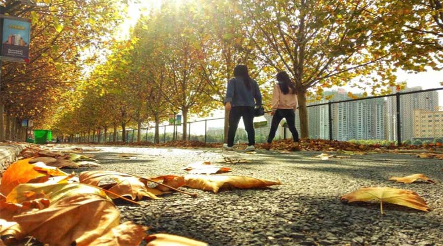 真没想到，驻马店竟藏有5处人间秘境！周末走起吧！