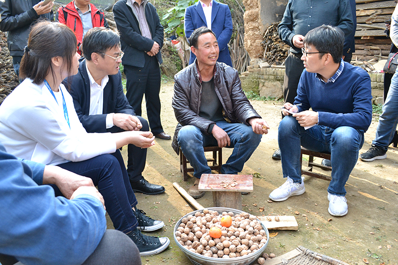 电商扶贫集中发力乡村振兴战略