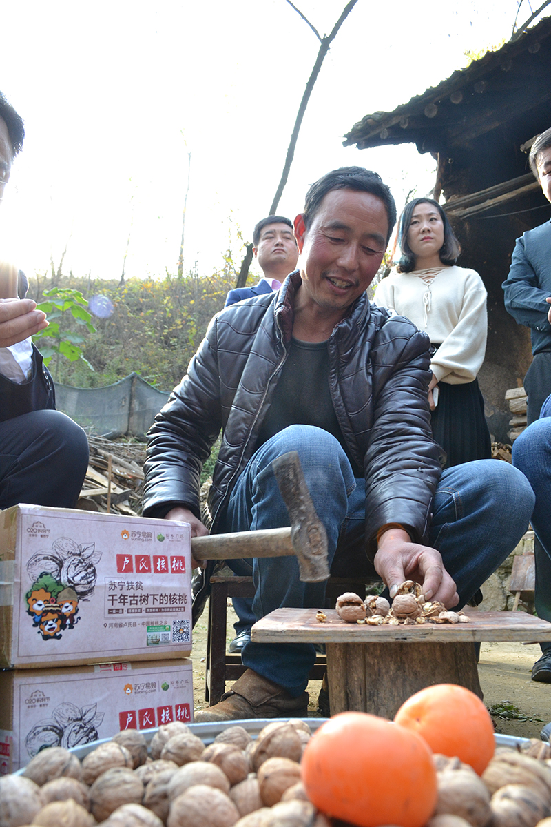 电商扶贫集中发力乡村振兴战略