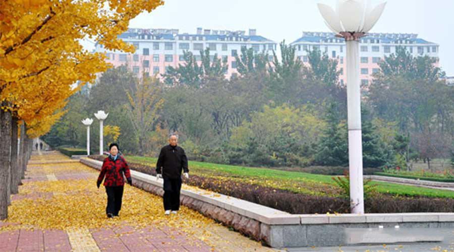 喜欢散步的注意！央视提醒：换种走法，得癌风险降一半