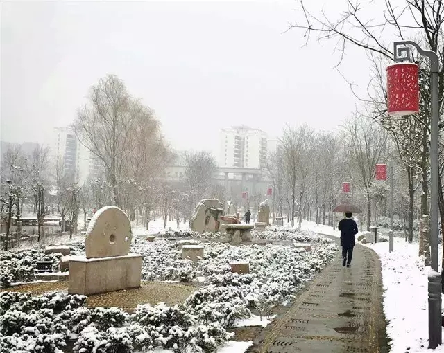大风+冷雨+15℃降温，驻马店第一场雪要来了！颤抖吧！