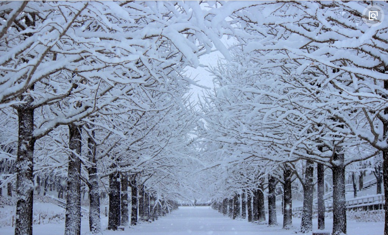 狂降12℃+连下3天，驻马店将再次迎来降雪！更让人崩溃的是...