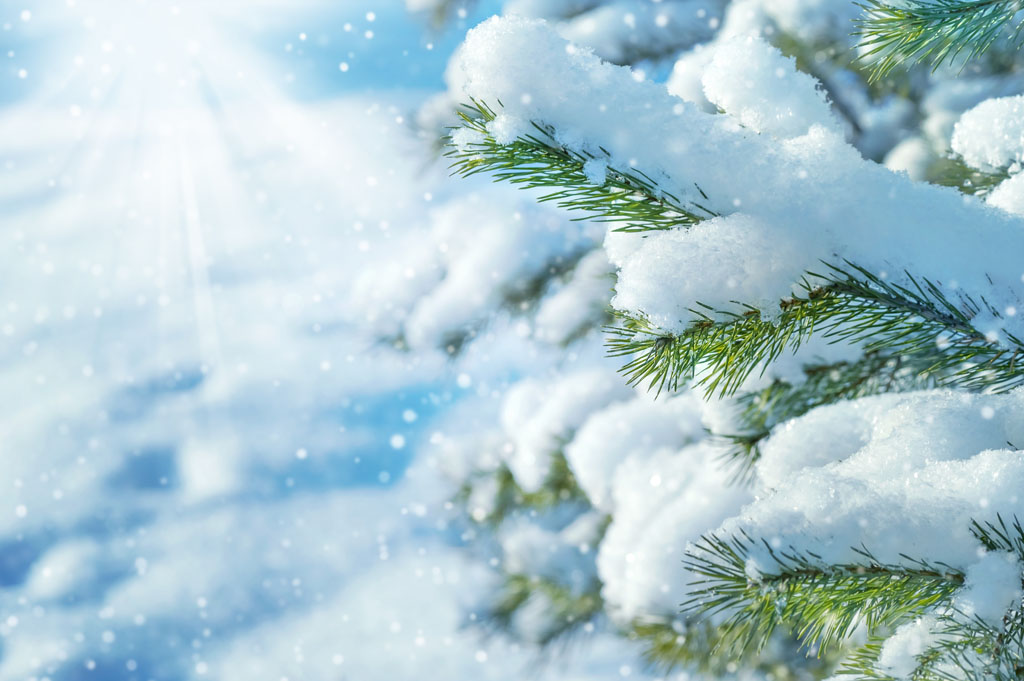 暴跌10℃+大风！元旦小长假要冻哭！更可怕的是驻马店还将迎来大雪...