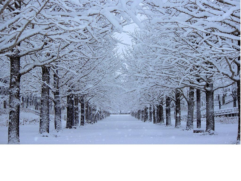 -12℃+6天降雪！驻马店暴雪将至，这10件事一定记得做！