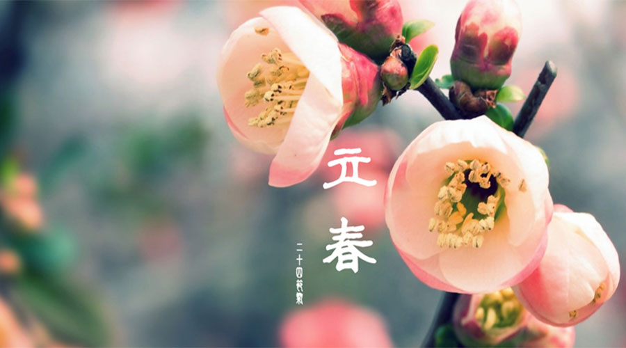 -5℃→21℃！立春！驻马店就要暖和啦！更有一大波好消息让你笑开花！