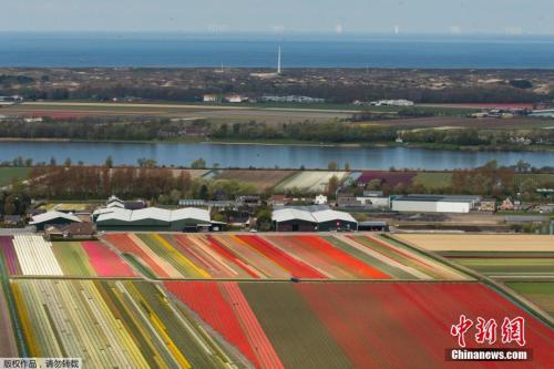 荷兰国务秘书建议疏散游客至不太知名景点