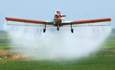 驻马店人15-25号不要晒被子？飞机撒药治白蛾？真相竟是...