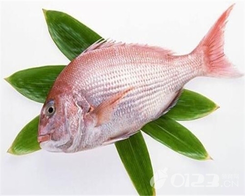 孕妇吃鱼对胎儿好处多 但是这些鱼不可以吃!