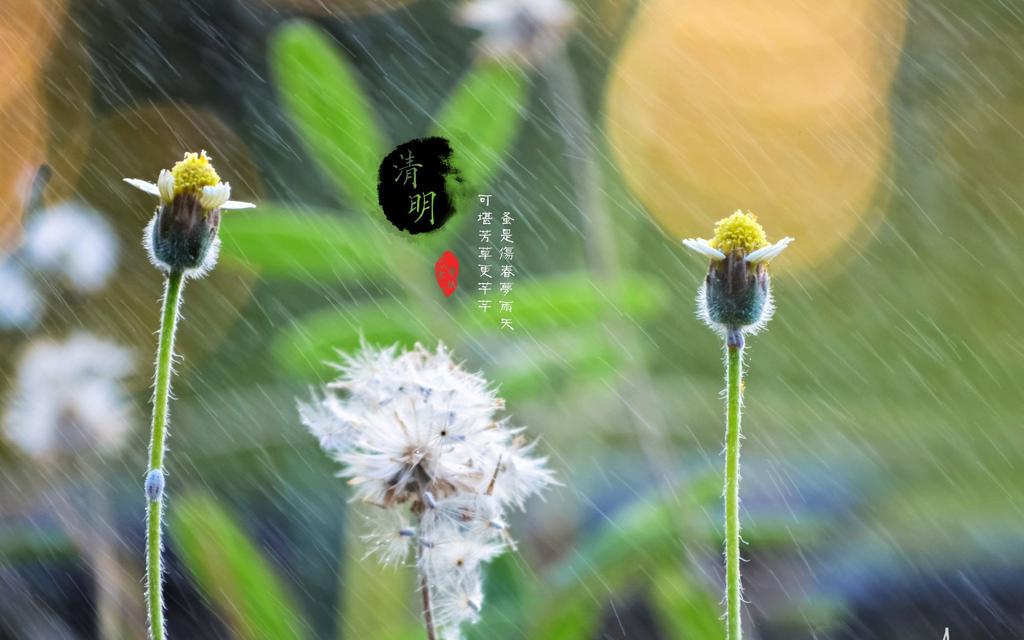 暴降18℃！驻马店将开启降温+雨+大风模式，还有…