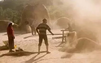 20天后，将有数十万人涌入驻马店！因为马上就要...