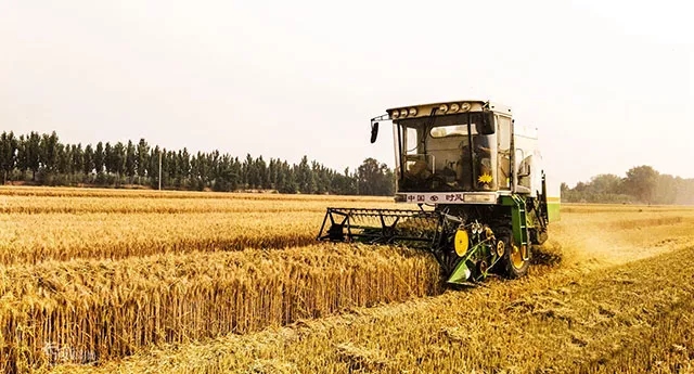 驻马店这3个县因为焚烧秸秆被罚61万！更难过的是，39℃高温即将来袭...