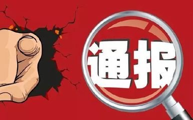 驿城区政府、汝南县政府被通报批评！来看咋回事？