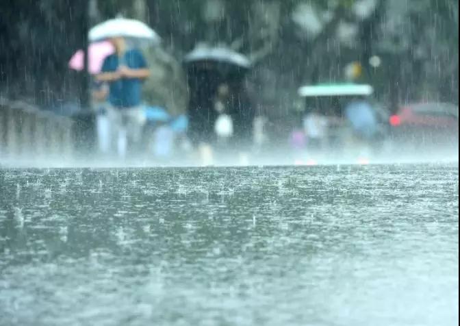 中雨、大雨！驻马店下周又要下雨？更可怕的是…
