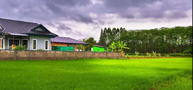 紧急，相互通知！驻马店这样的房子千万别买！要全面清理！