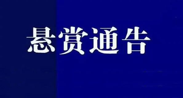 驻马店这4个人谁认识？举报最高奖励20000元！