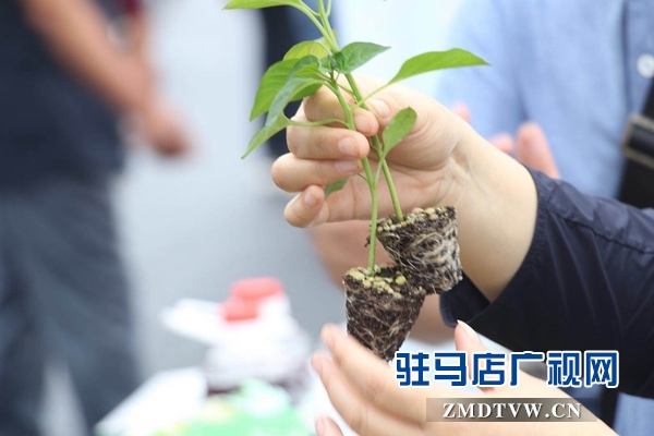 驻马店市开展全国科普宣传日活动