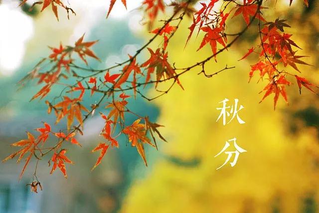 今日秋分！降温+下雨又要光顾驻马店！不过你的工资将迎来4大好消息...