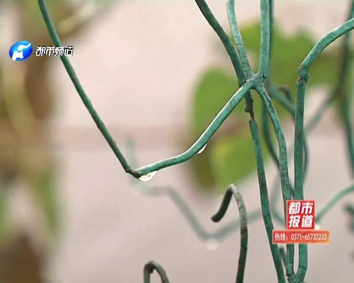 痛心！越野车“飞”入鱼塘，驻马店一对父子双双溺亡，儿子才18岁...