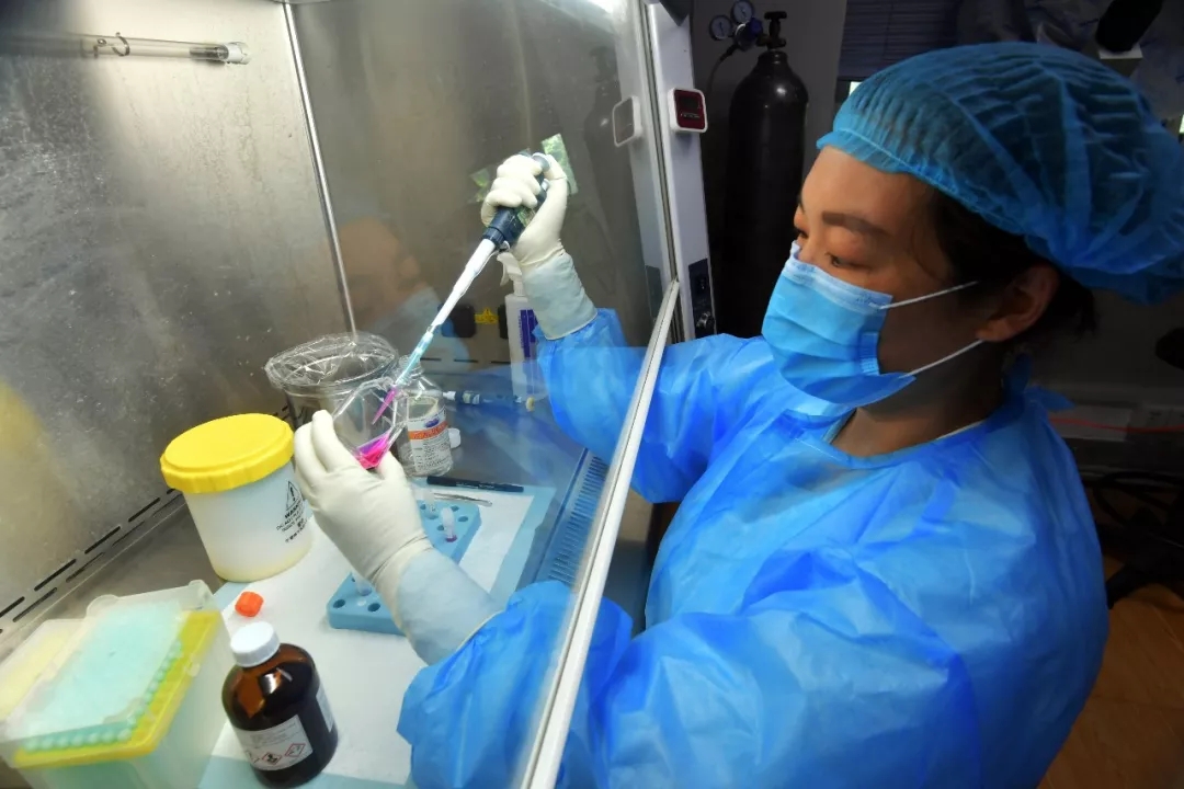 共计96人死亡！河南发布9月传染病疫情，驻马店人最近当心这几种病...