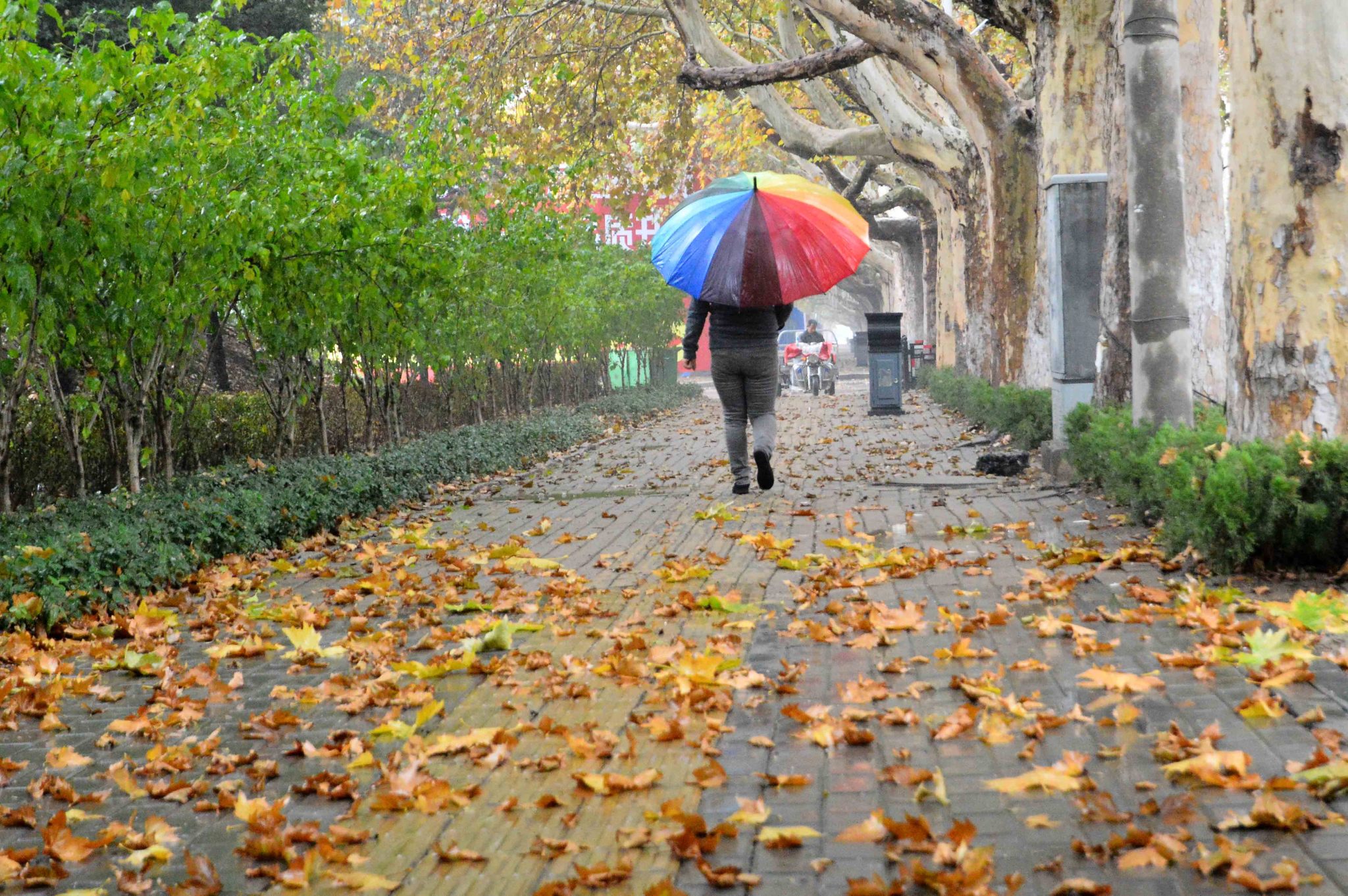 今日立冬！驻马店市区下周开始供暖！天冷咳嗽？吃这个1天见效！